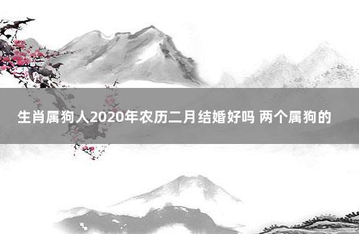 生肖属狗人2020年农历二月结婚好吗 两个属狗的明年什么时候结婚合适