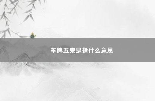 车牌五鬼是指什么意思