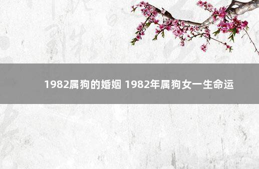 1982属狗的婚姻 1982年属狗女一生命运