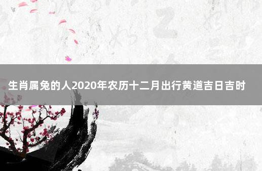 生肖属兔的人2020年农历十二月出行黄道吉日吉时 农历十二日属兔