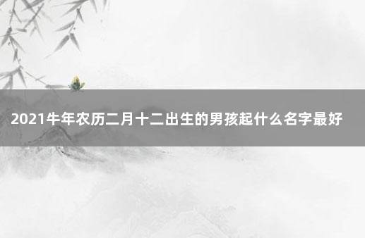 2021牛年农历二月十二出生的男孩起什么名字最好 属牛12月出生名字