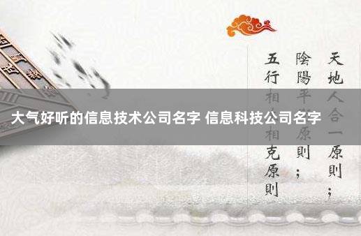 大气好听的信息技术公司名字 信息科技公司名字