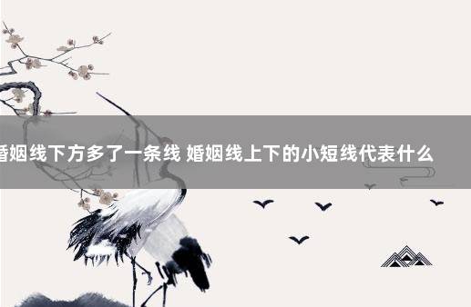 婚姻线下方多了一条线 婚姻线上下的小短线代表什么