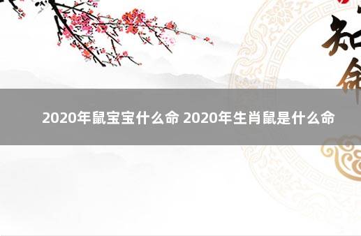 2020年鼠宝宝什么命 2020年生肖鼠是什么命