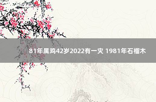 81年属鸡42岁2022有一灾 1981年石榴木命缺什么