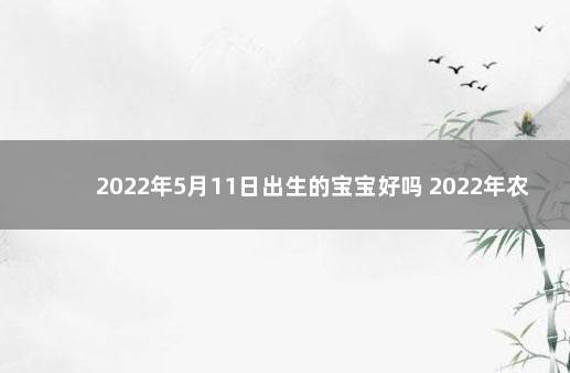 2022年5月11日出生的宝宝好吗 2022年农历11月出生的宝宝