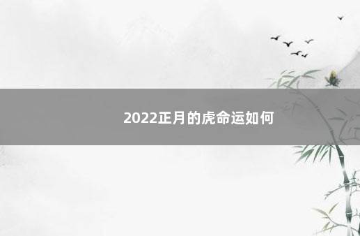 2022正月的虎命运如何