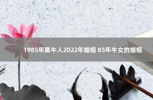 1985年属牛人2022年婚姻 85年牛女的婚姻和命运