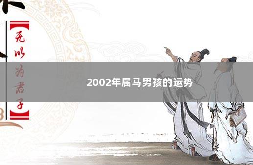 2002年属马男孩的运势