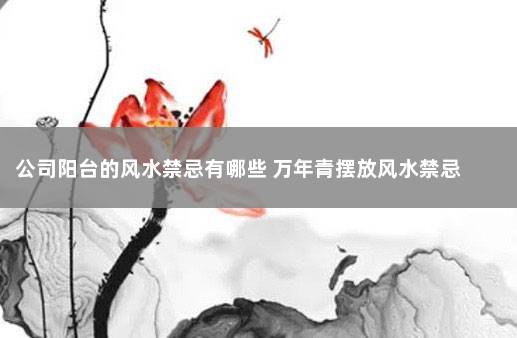 公司阳台的风水禁忌有哪些 万年青摆放风水禁忌