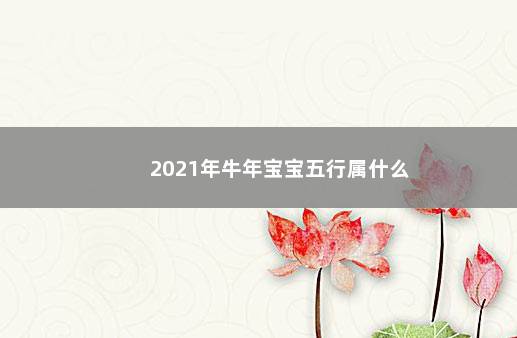 2021年牛年宝宝五行属什么