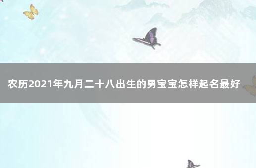 农历2021年九月二十八出生的男宝宝怎样起名最好 农历2021年8月29日出生的宝宝起名