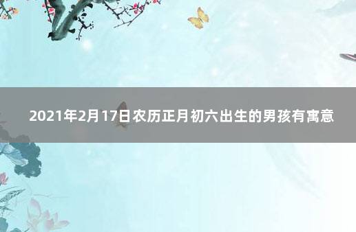 2021年2月17日农历正月初六出生的男孩有寓意的名字怎么取 2021年农历七月二十出生的宝宝