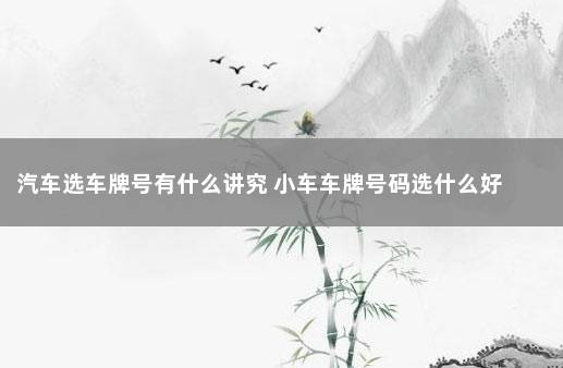 汽车选车牌号有什么讲究 小车车牌号码选什么好