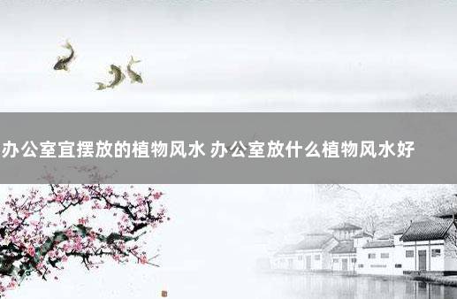 办公室宜摆放的植物风水 办公室放什么植物风水好