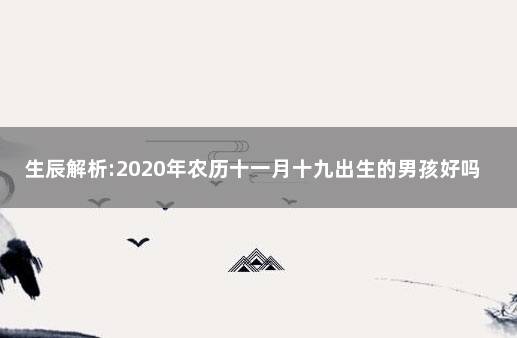 生辰解析:2020年农历十一月十九出生的男孩好吗 万年历2020年日历