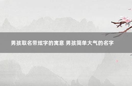 男孩取名带炫字的寓意 男孩简单大气的名字