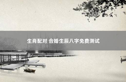 生肖配对 合婚生辰八字免费测试