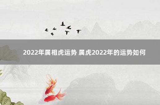 2022年属相虎运势 属虎2022年的运势如何