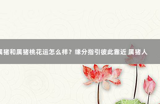 属猪和属猪桃花运怎么样？缘分指引彼此靠近 属猪人今年什么时候遇到桃花