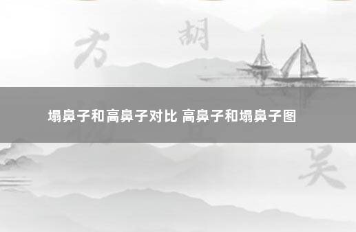 塌鼻子和高鼻子对比 高鼻子和塌鼻子图