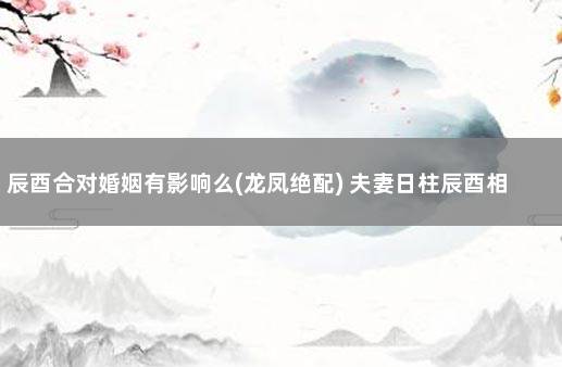 辰酉合对婚姻有影响么(龙凤绝配) 夫妻日柱辰酉相合