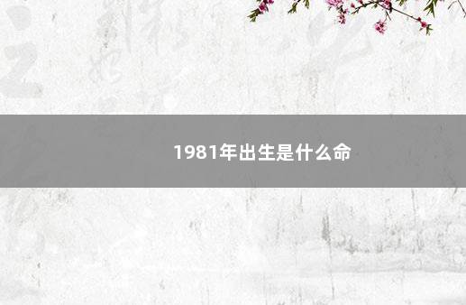 1981年出生是什么命