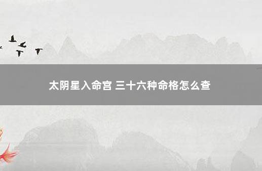 太阴星入命宫 三十六种命格怎么查