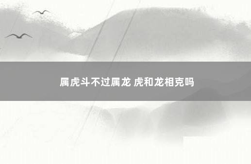 属虎斗不过属龙 虎和龙相克吗