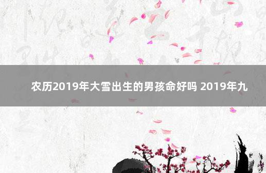 农历2019年大雪出生的男孩命好吗 2019年九月出生的男孩是什么命