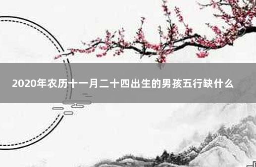 2020年农历十一月二十四出生的男孩五行缺什么 农历十一月的狗命很差