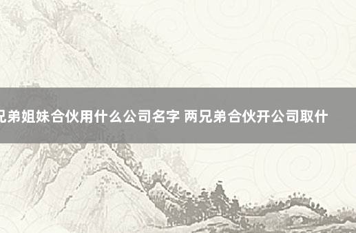 兄弟姐妹合伙用什么公司名字 两兄弟合伙开公司取什么名字