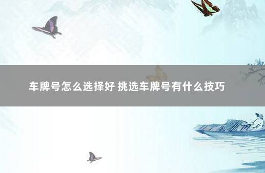 车牌号怎么选择好 挑选车牌号有什么技巧