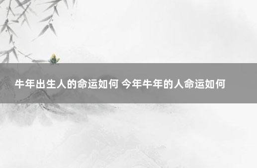 牛年出生人的命运如何 今年牛年的人命运如何