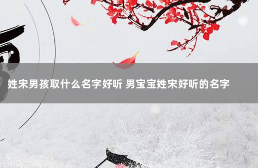 姓宋男孩取什么名字好听 男宝宝姓宋好听的名字