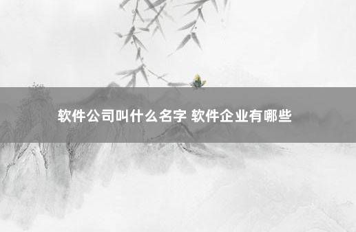 软件公司叫什么名字 软件企业有哪些