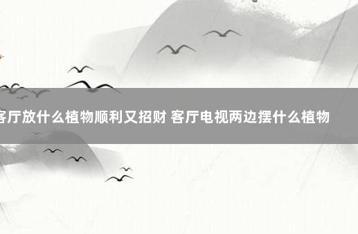 客厅放什么植物顺利又招财 客厅电视两边摆什么植物旺财