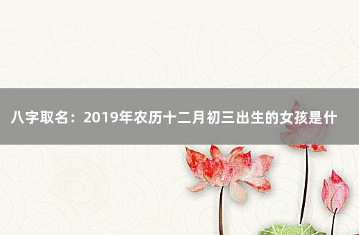 八字取名：2019年农历十二月初三出生的女孩是什么命 2021年腊月初九出生的女孩