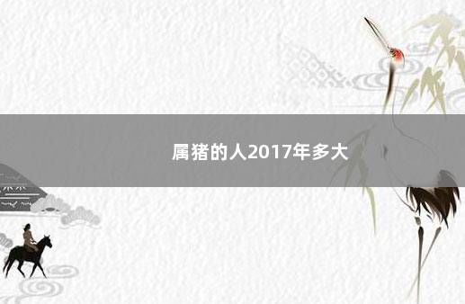 属猪的人2017年多大