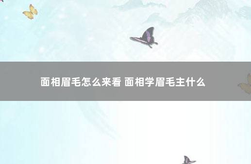 面相眉毛怎么来看 面相学眉毛主什么