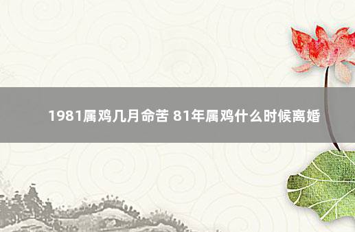 1981属鸡几月命苦 81年属鸡什么时候离婚