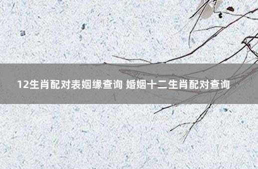 12生肖配对表姻缘查询 婚姻十二生肖配对查询