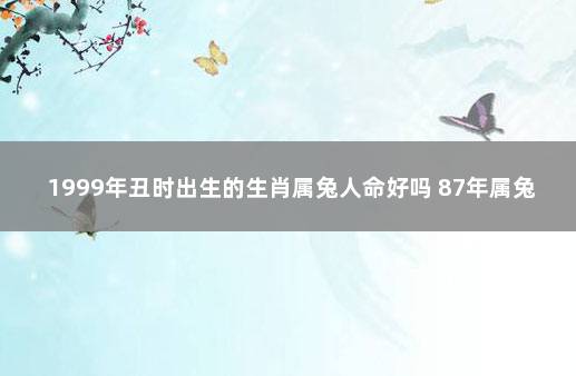 1999年丑时出生的生肖属兔人命好吗 87年属兔丑时出生命运