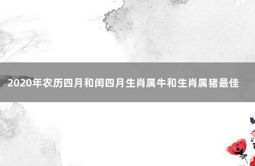 2020年农历四月和闰四月生肖属牛和生肖属猪最佳订婚黄道吉日 属牛和属猪的能共同合作吗