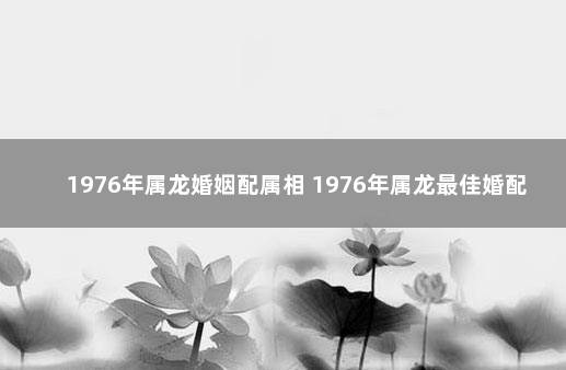 1976年属龙婚姻配属相 1976年属龙最佳婚配对象