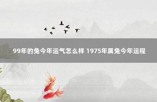 99年的兔今年运气怎么样 1975年属兔今年运程