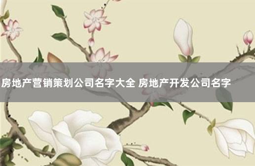 房地产营销策划公司名字大全 房地产开发公司名字