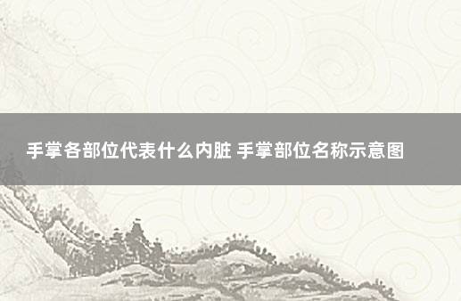 手掌各部位代表什么内脏 手掌部位名称示意图