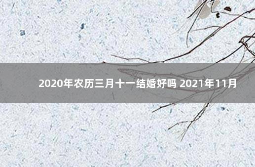 2020年农历三月十一结婚好吗 2021年11月3日结婚黄道吉日