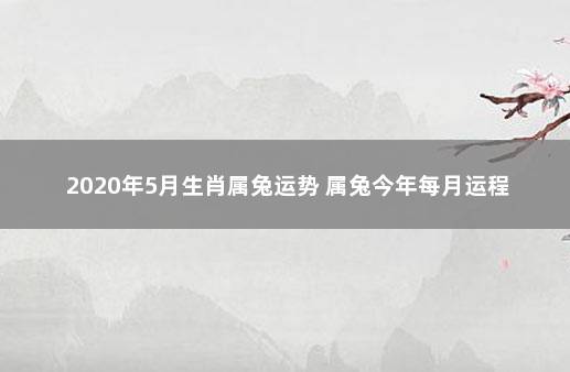 2020年5月生肖属兔运势 属兔今年每月运程